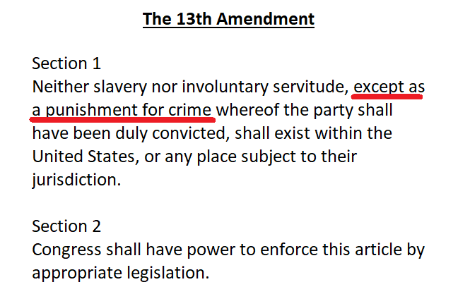 The 13th amendment